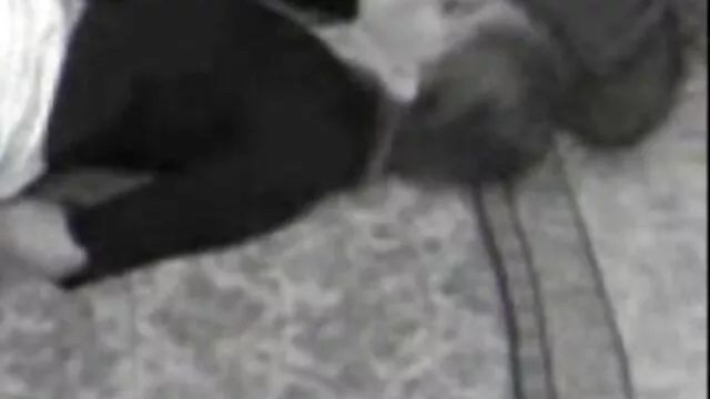 Καυτό πορνό χωρίς εγγραφή  Ενήλικοι εκπαιδευτικοί αναπτύσσουν τους νέους μαθητές πρωκτό με το δάχτυλο χχχ στραπον πριν από το πρωκτικό σεξ